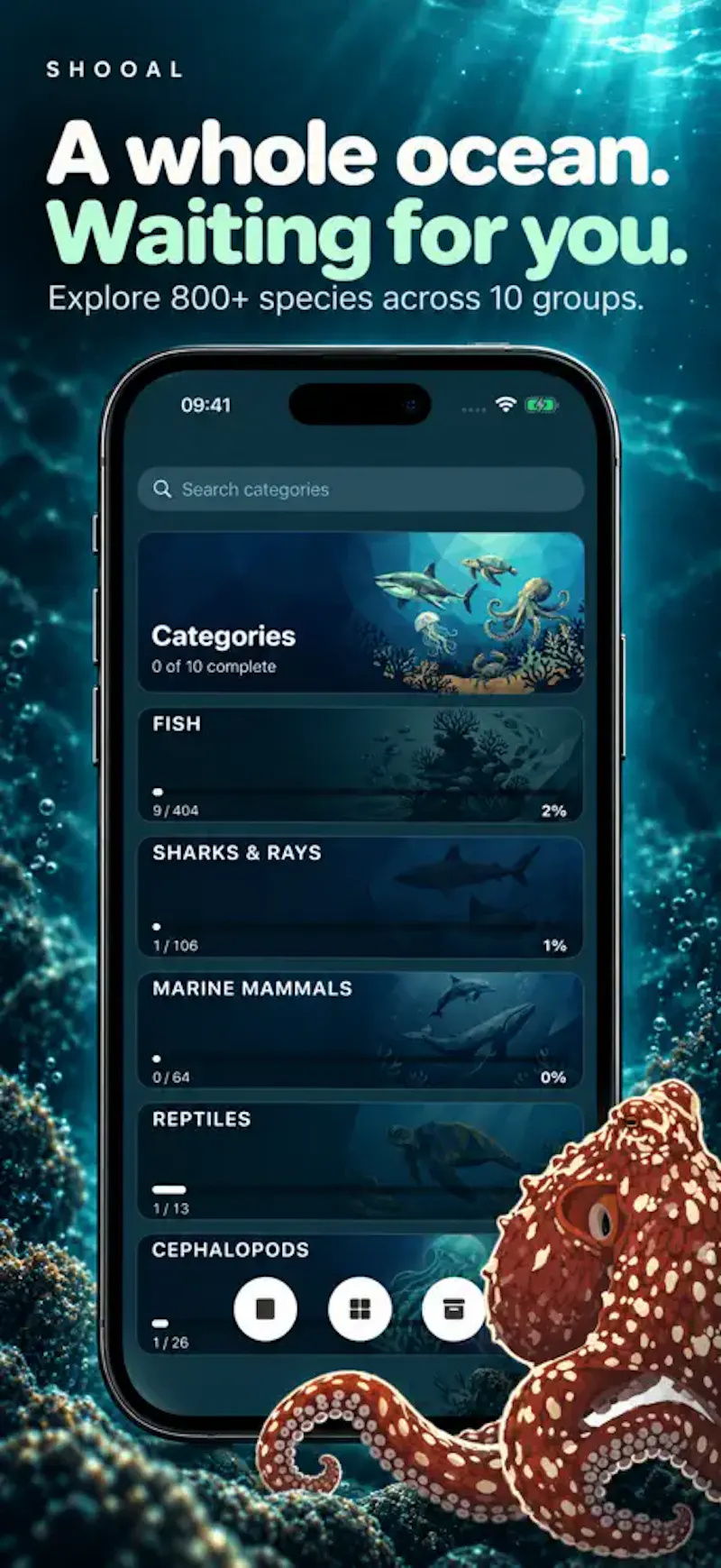 Shooal screenshot 4