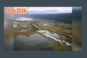 DikDik 4.6.0.0 gallery image