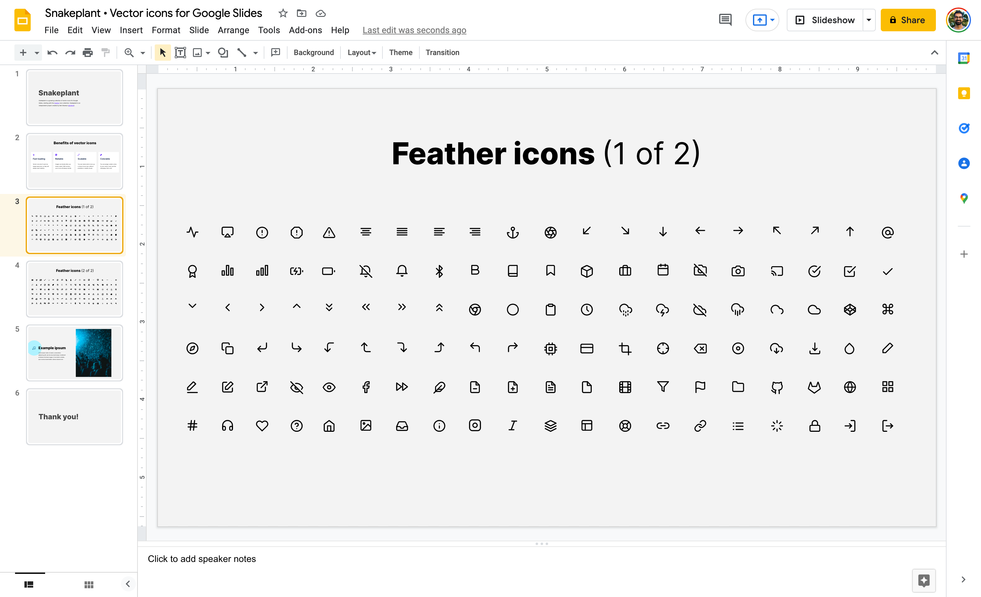 Snakeplant gallery image