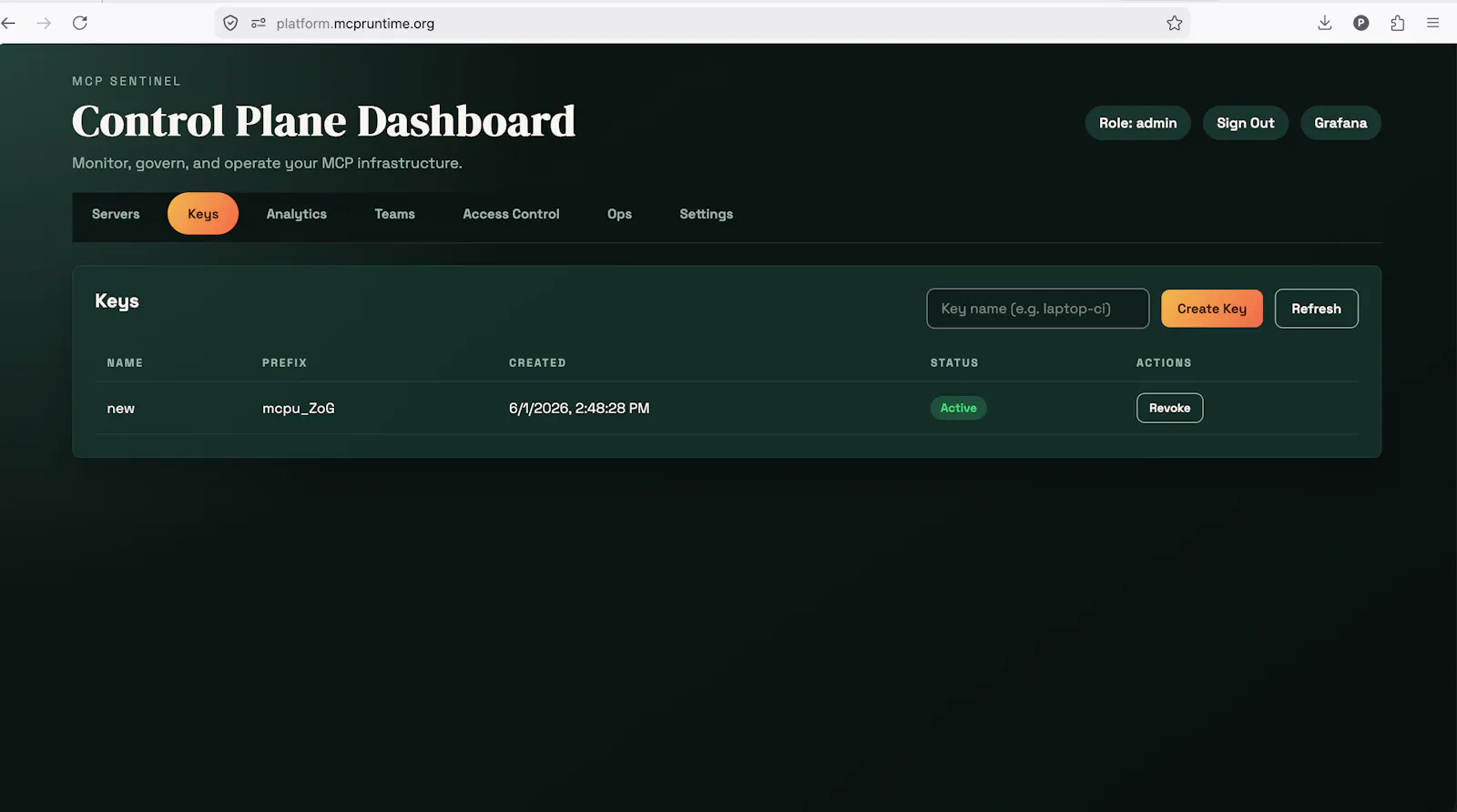 MCP Runtime screenshot 4