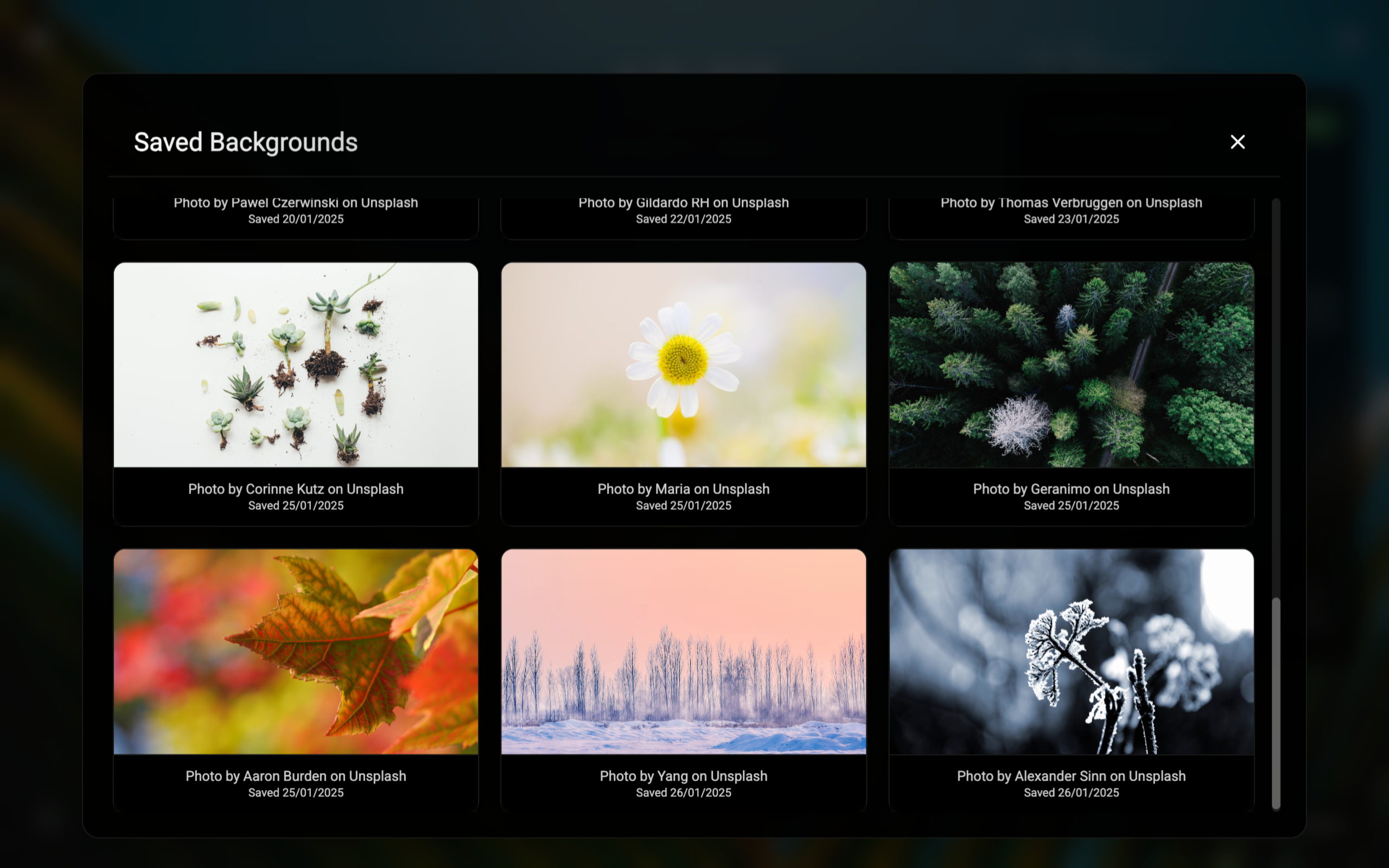 Daily Affirmations gallery image