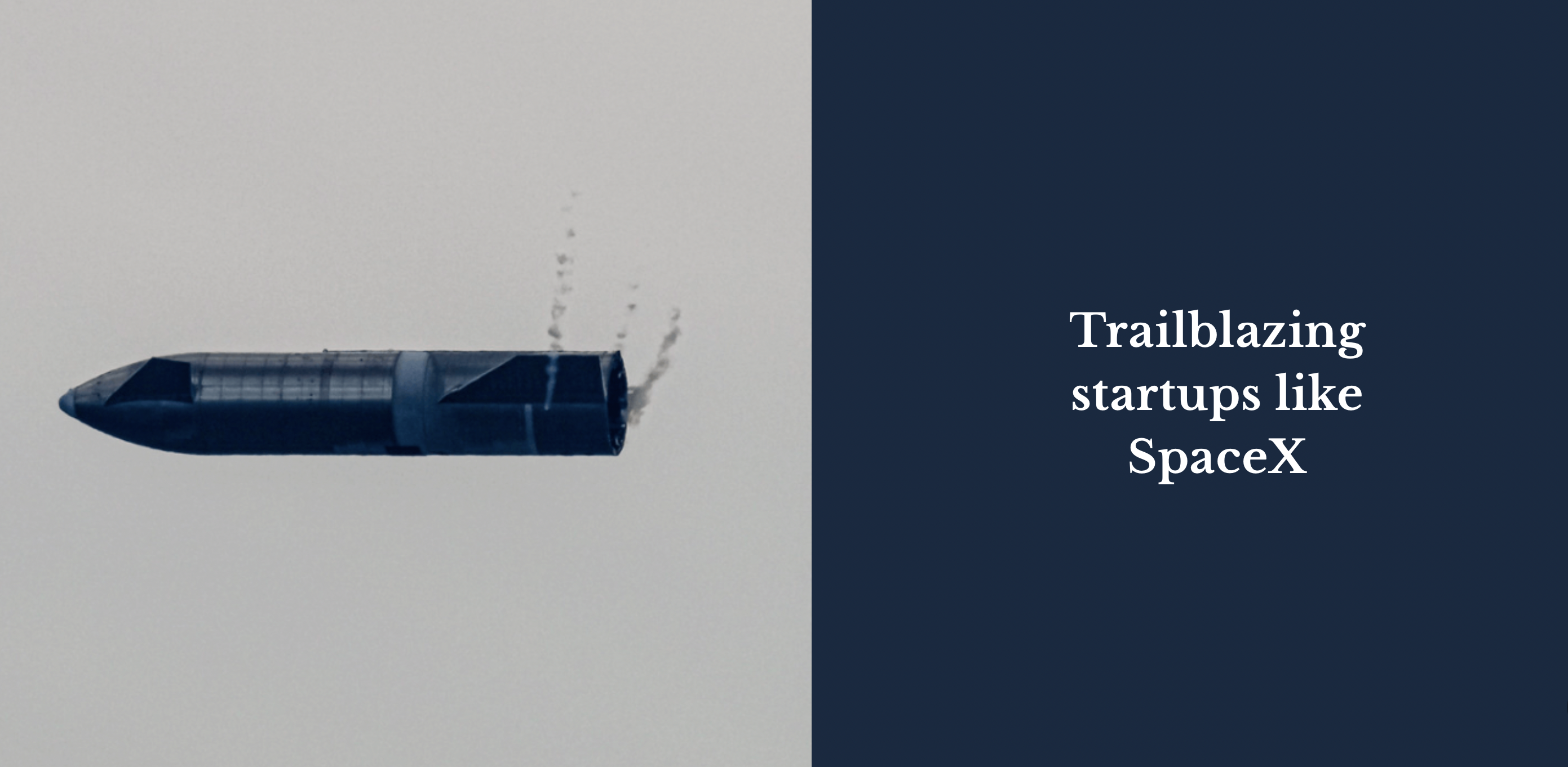 Hedonova gallery image