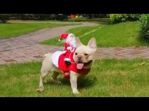 Posture Corrector gallery image