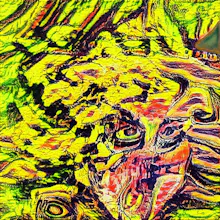 9 GANS gallery image