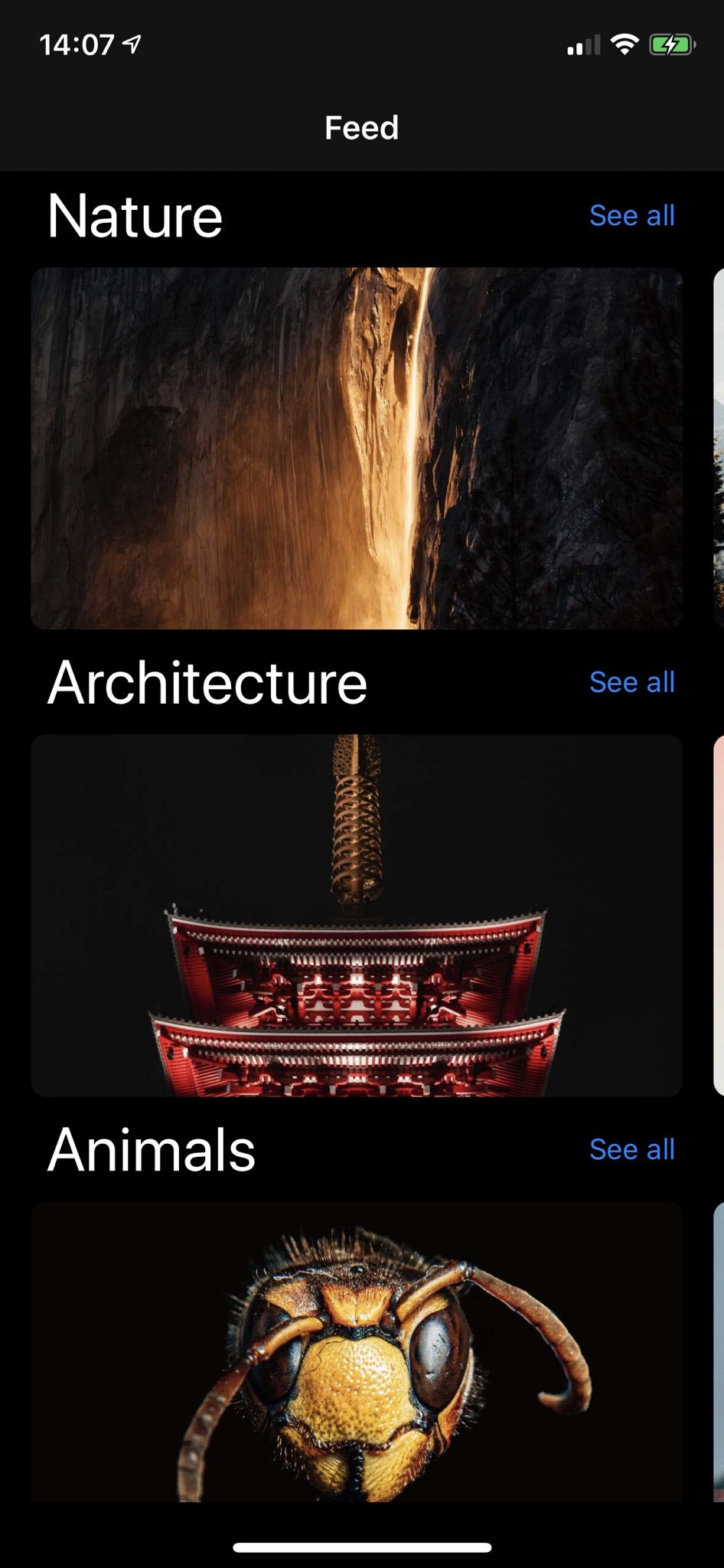 Advent of Swift 2019 bundle gallery image