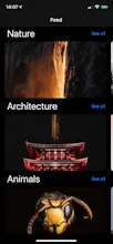 Advent of Swift 2019 bundle gallery image
