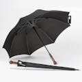 The Unbreakable Umbrella