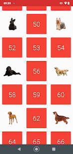 Todogs gallery image