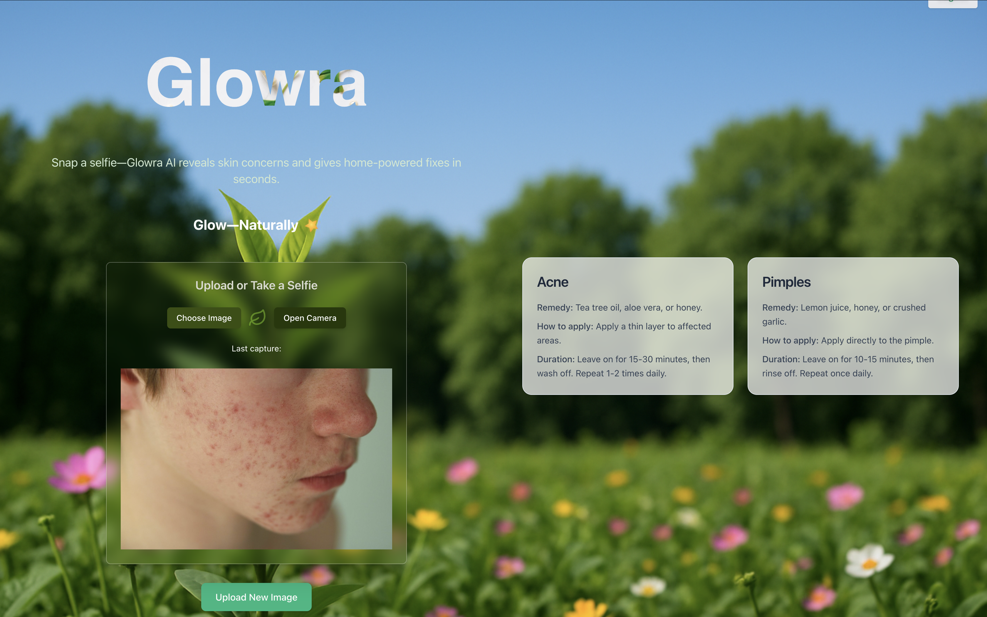 Glowra media 2