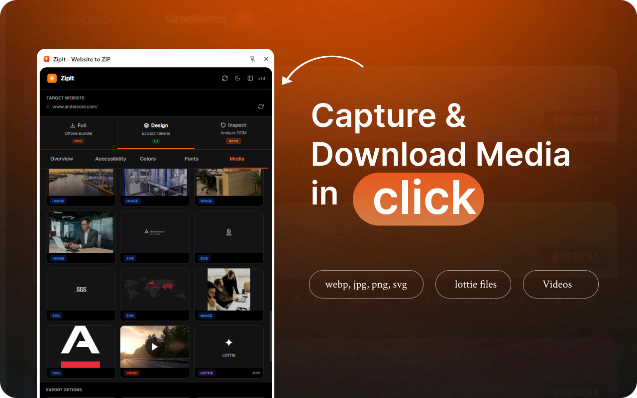 ZipIt  gallery image