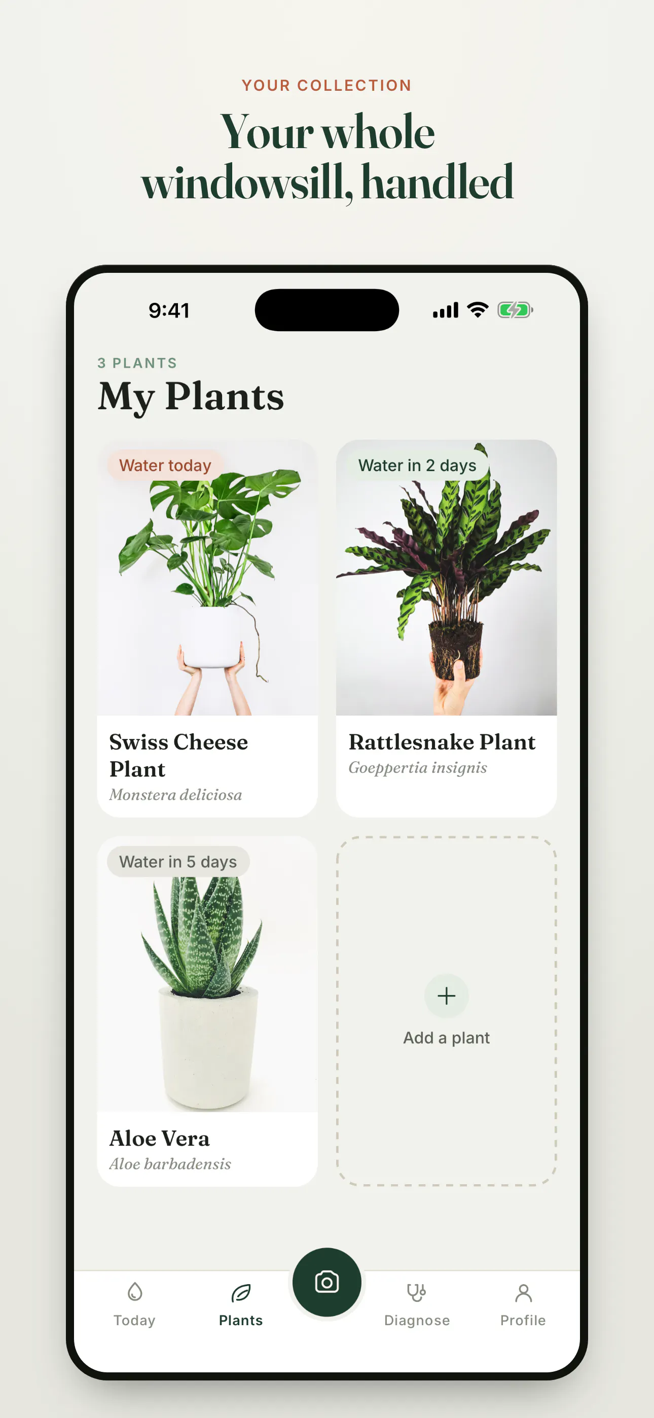 LeafLens gallery image