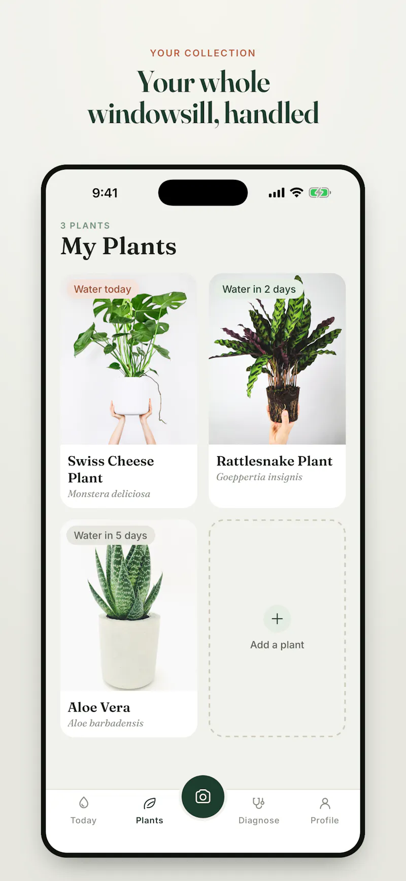 LeafLens screenshot 3