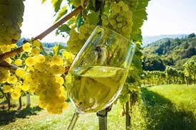 Oklahoma Winery & Wines