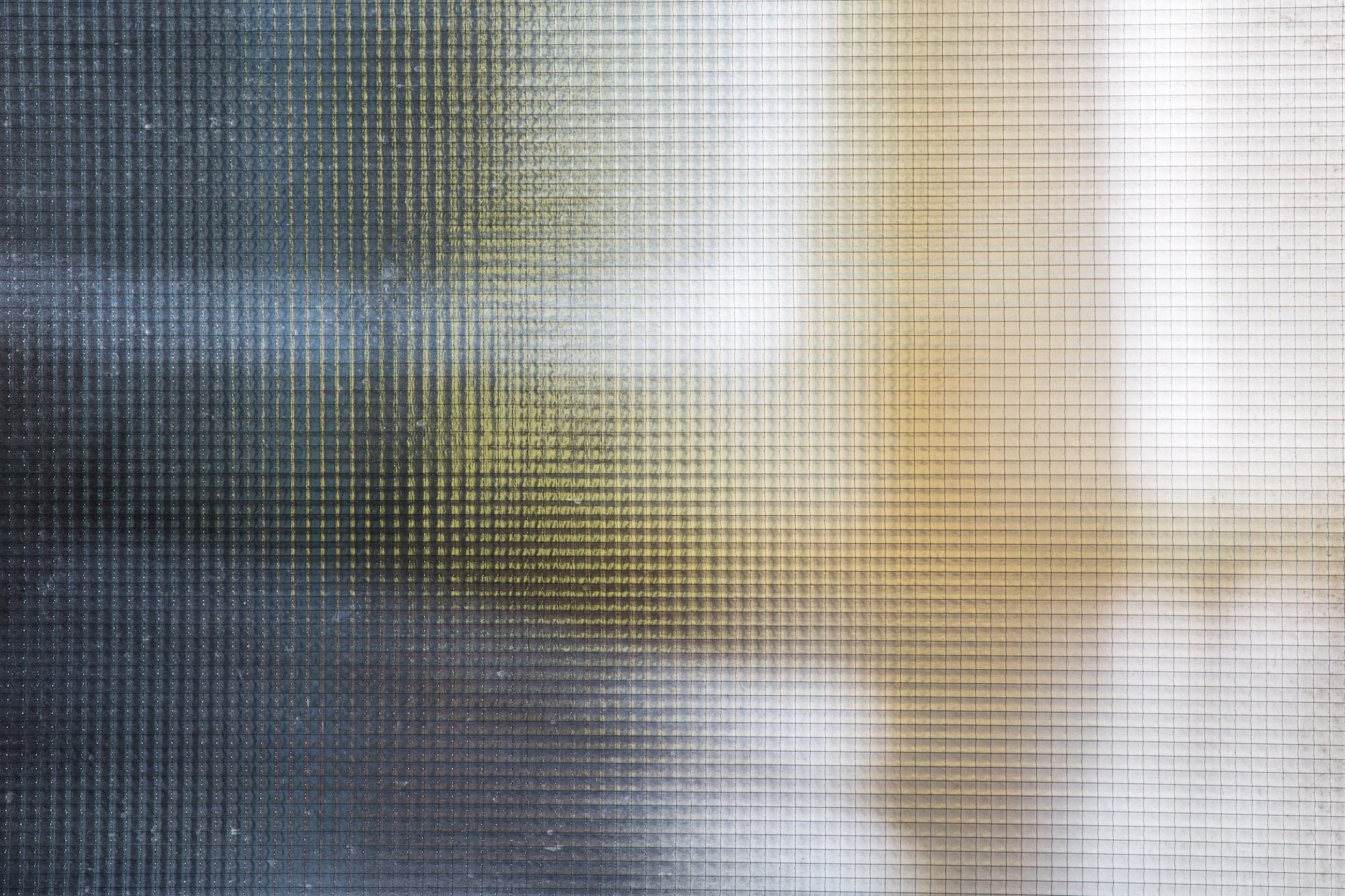 Digital Privacy News cover