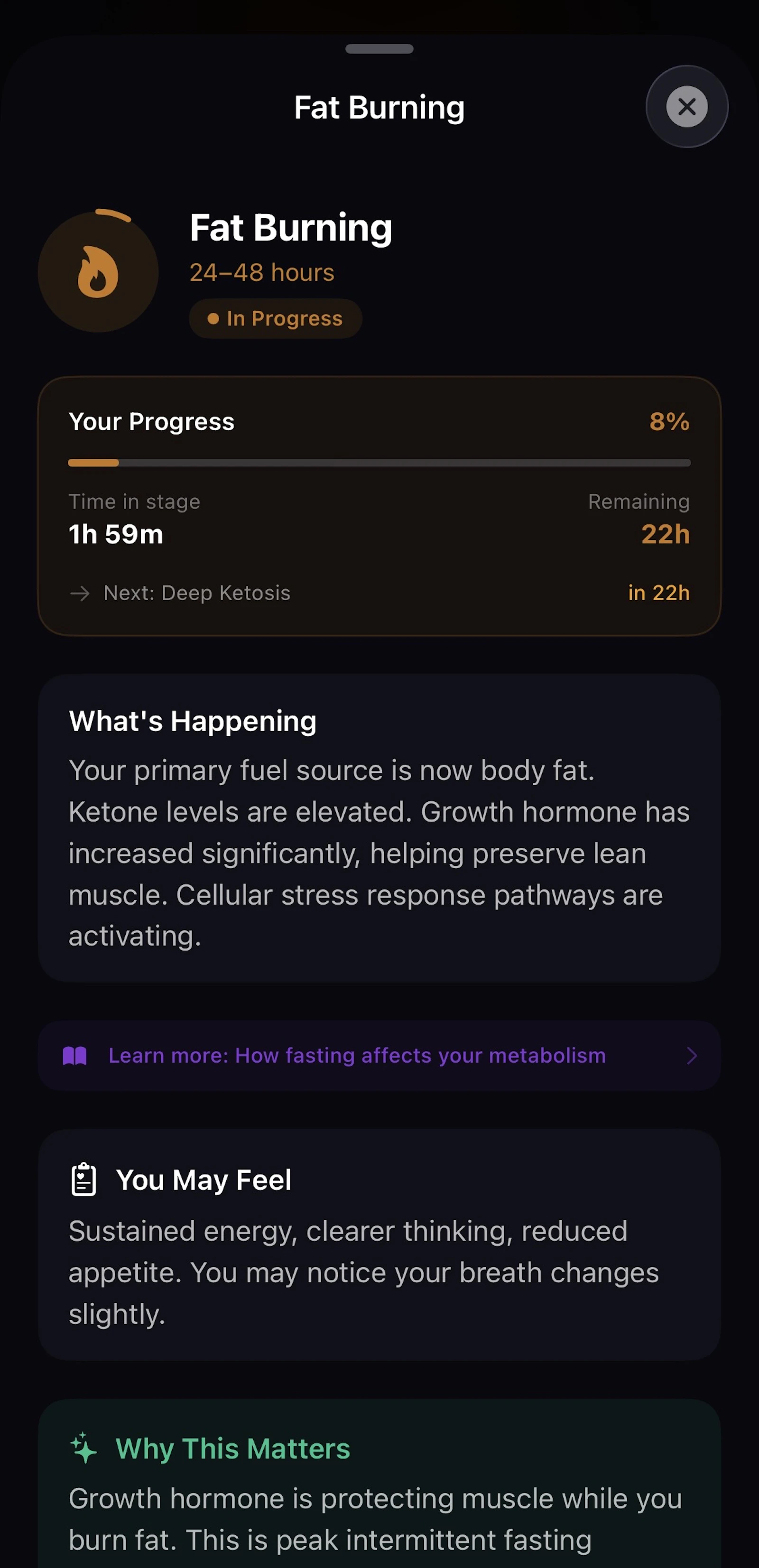 Burn screenshot 8