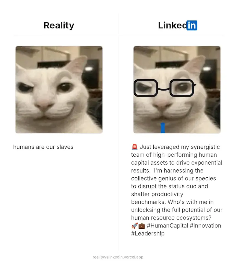 Reality vs Linkedin cringe screenshot 2