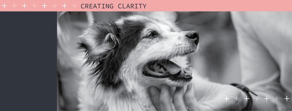 SmartFlow Software gallery image