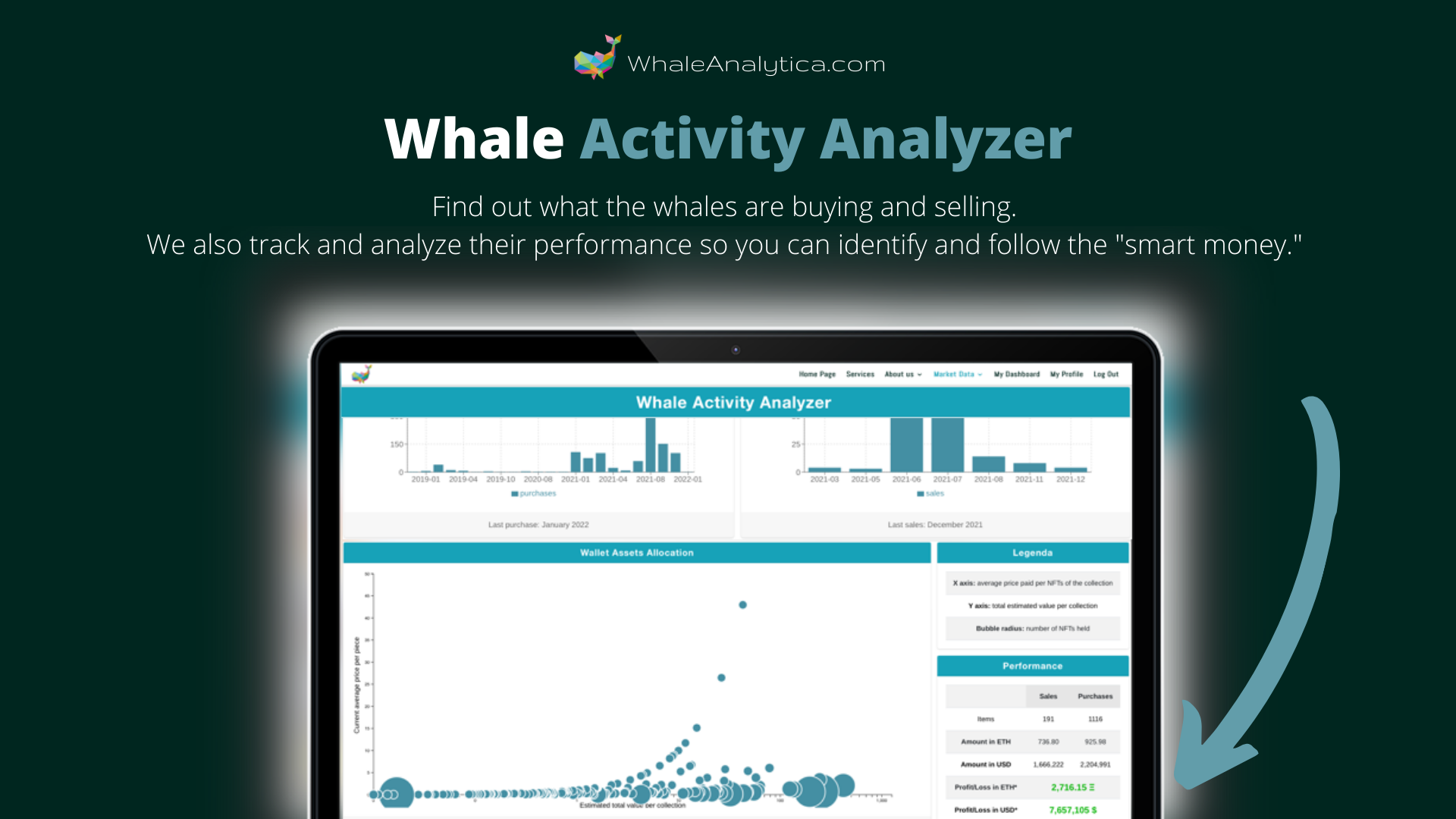 Whale Analytica gallery image