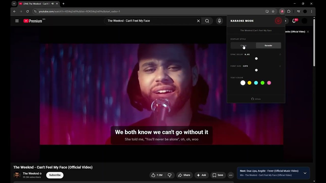 YouTube Karaoke - Synced Lyrics gallery image