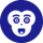 Southwest Monkey