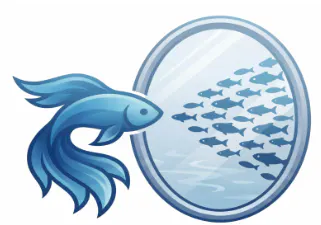 MiroFish