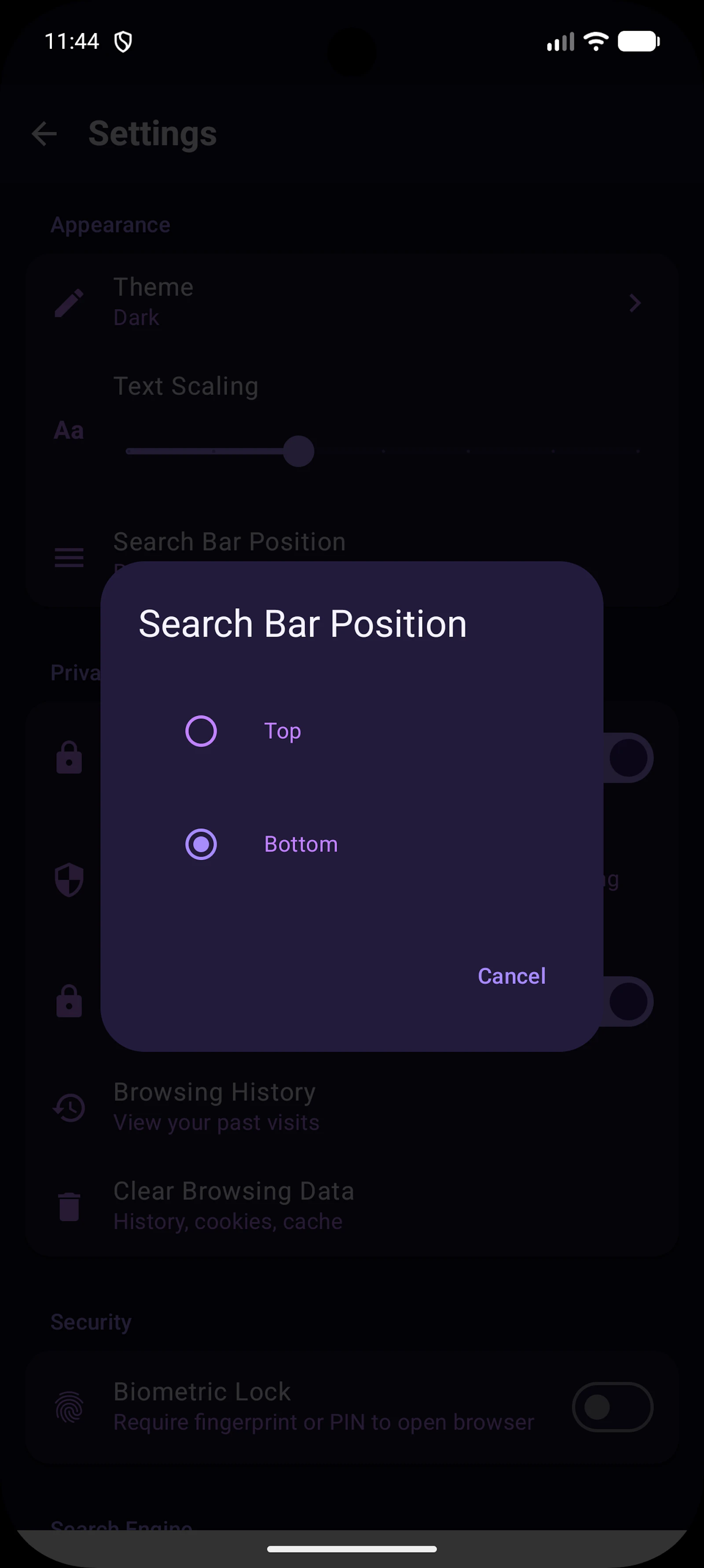 Porus Browser screenshot 6