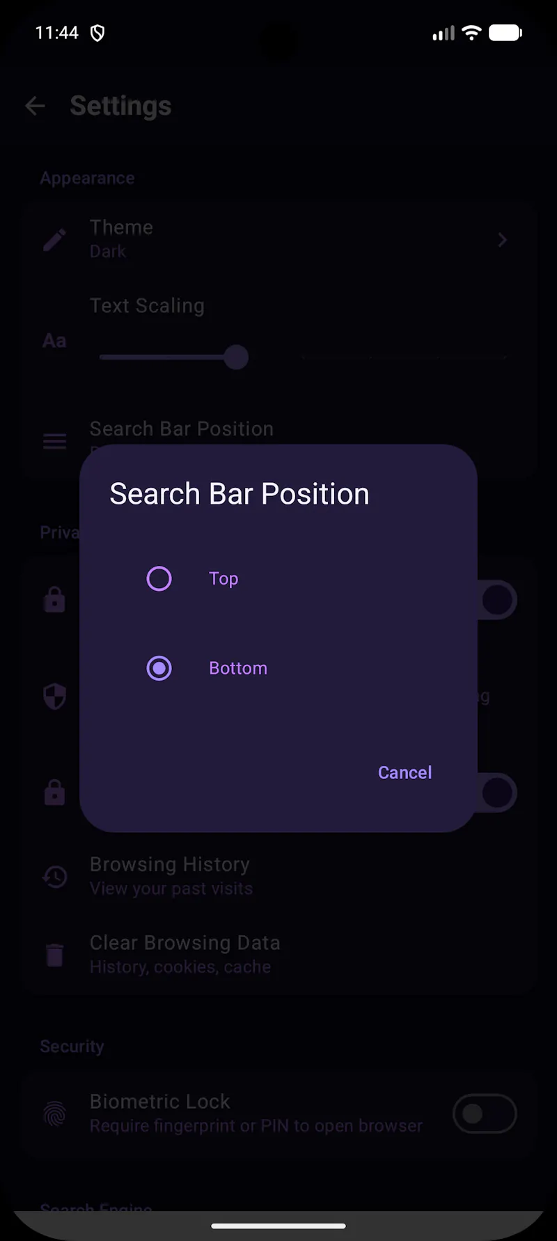 Porus Browser screenshot 6