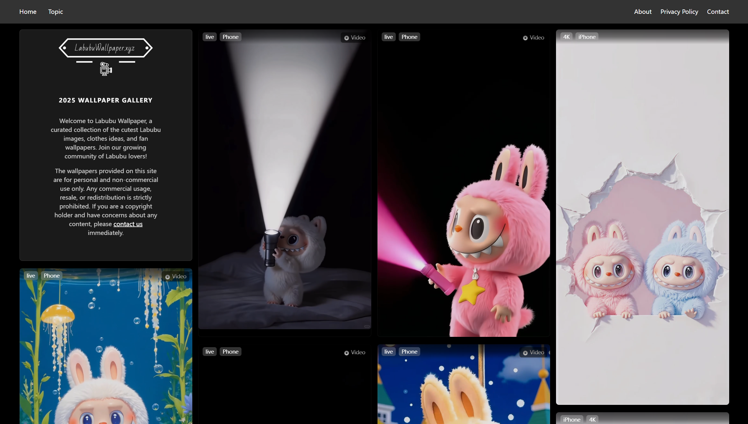 Labubu Wallpaper gallery image