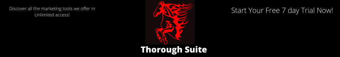 Thorough Suite gallery image