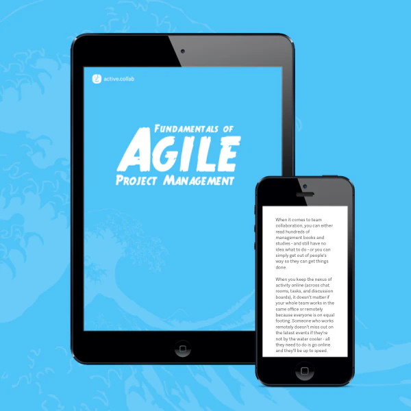 Fundamentals of Agile Project Management