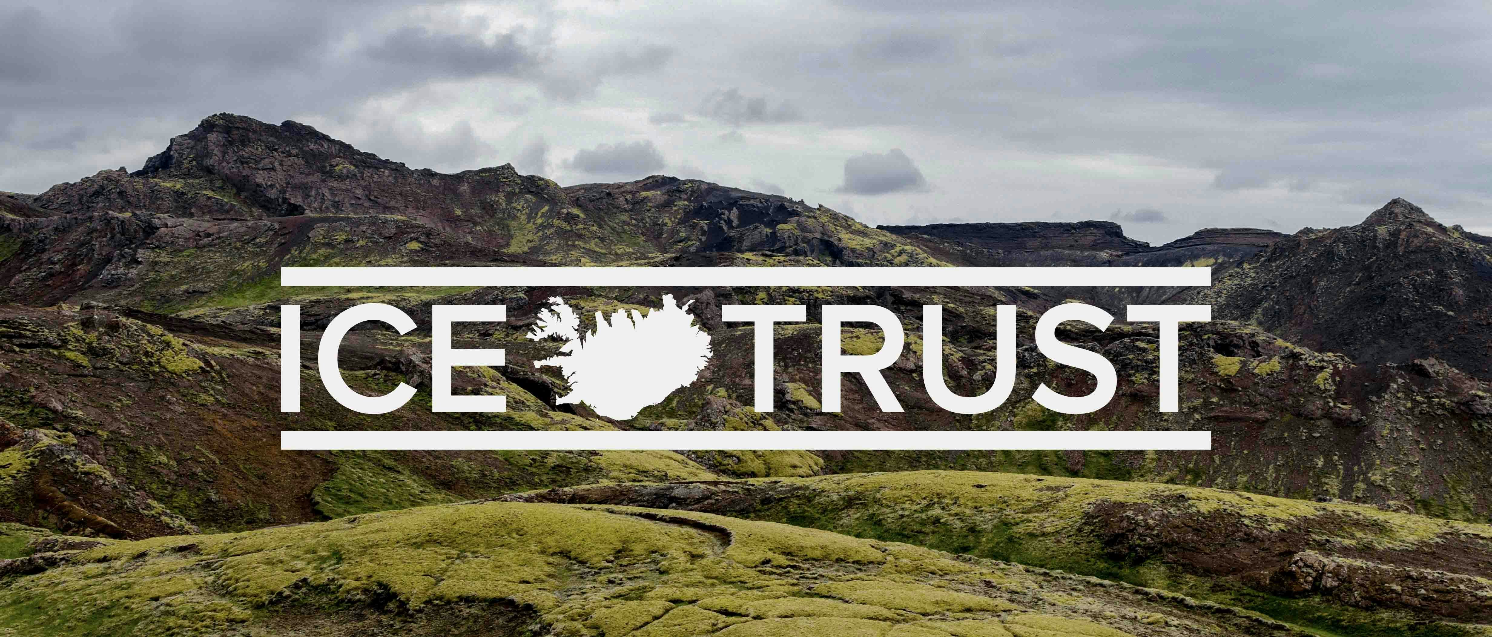 Ice Trust gallery image