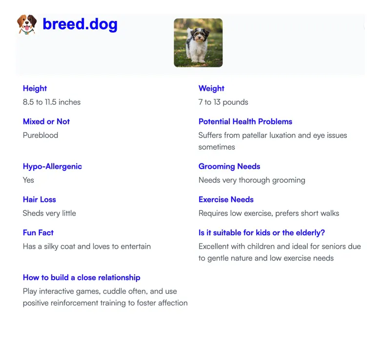 Breed.dog - AI Dog Breed Identifier gallery image