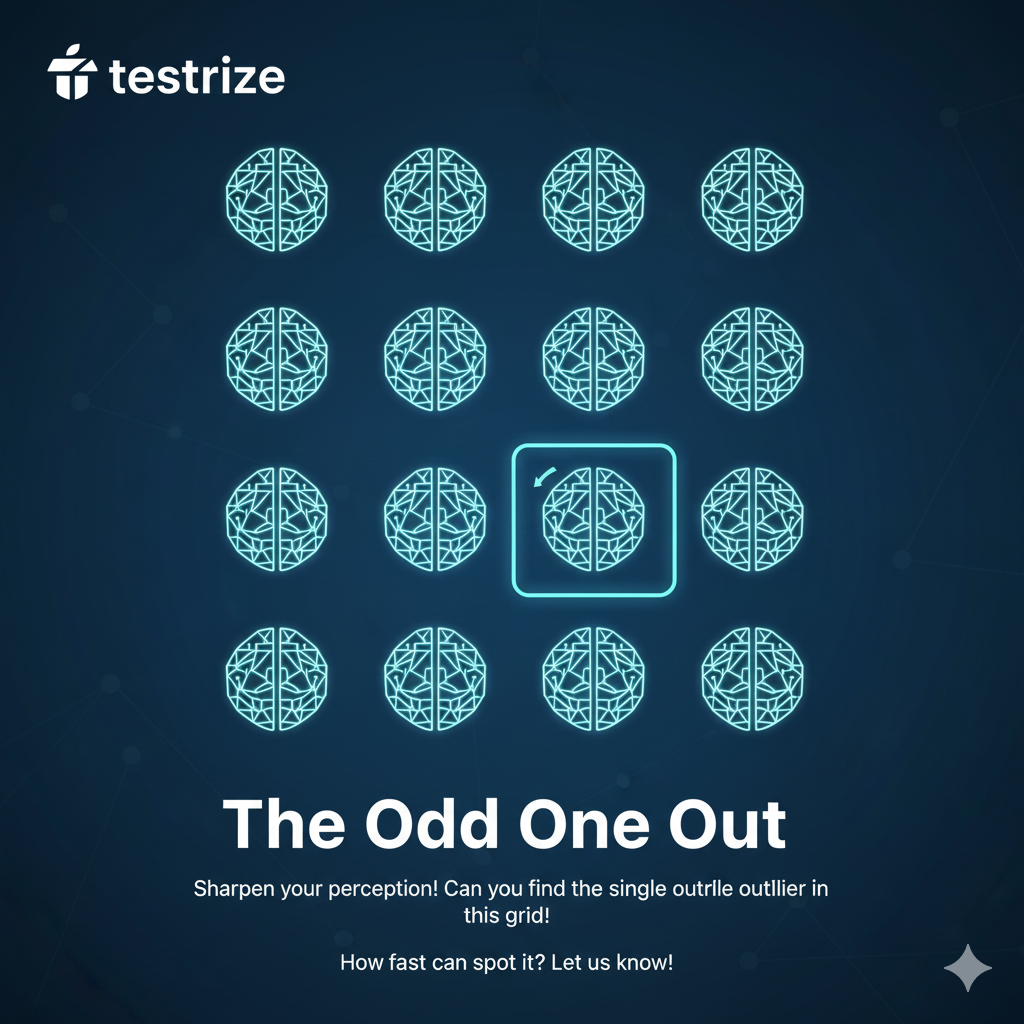 Testrize - Screenshot 3 showing product features and functionality