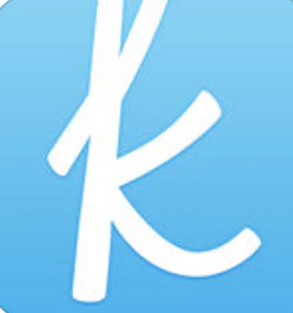 The Knot Wedding Planner