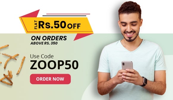 Zoop - nourriture en train en ligne en Inde media 2