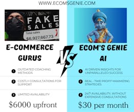 Ecoms Genie AI gallery image