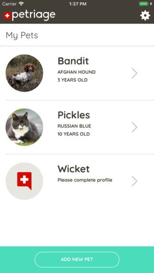 Petriage gallery image