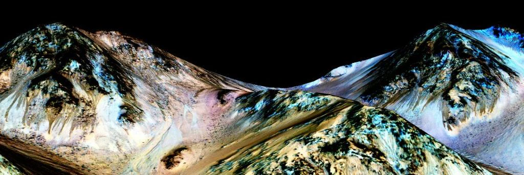 Camille Taylor cover