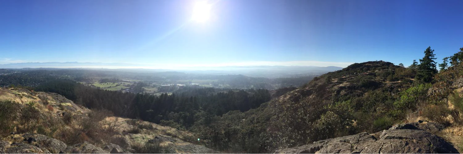 Andrew Wilkinson cover