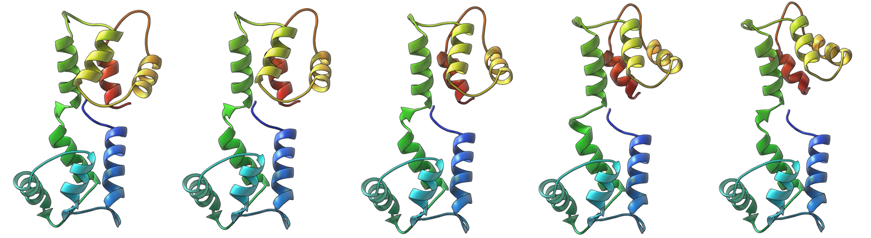 SAMSON gallery image