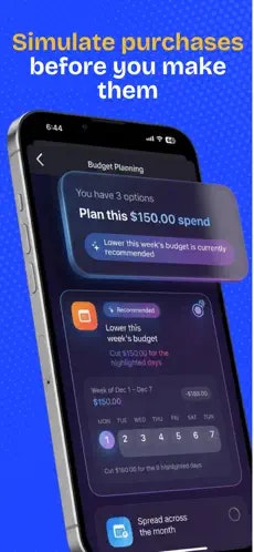 Budget Caddie - Screenshot 2 showing product features and functionality