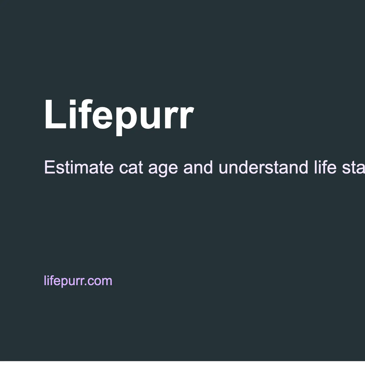Lifepurr gallery image