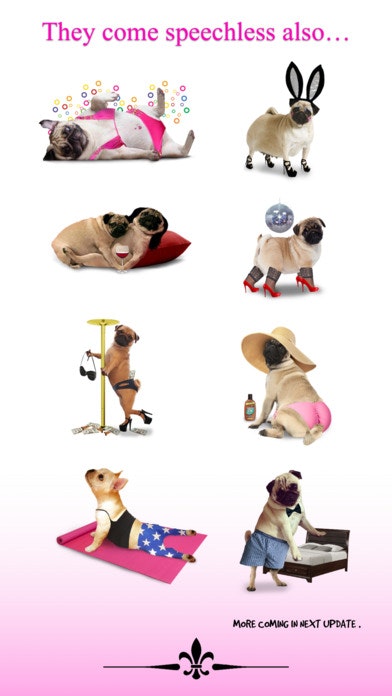 PUG LOVE! gallery image