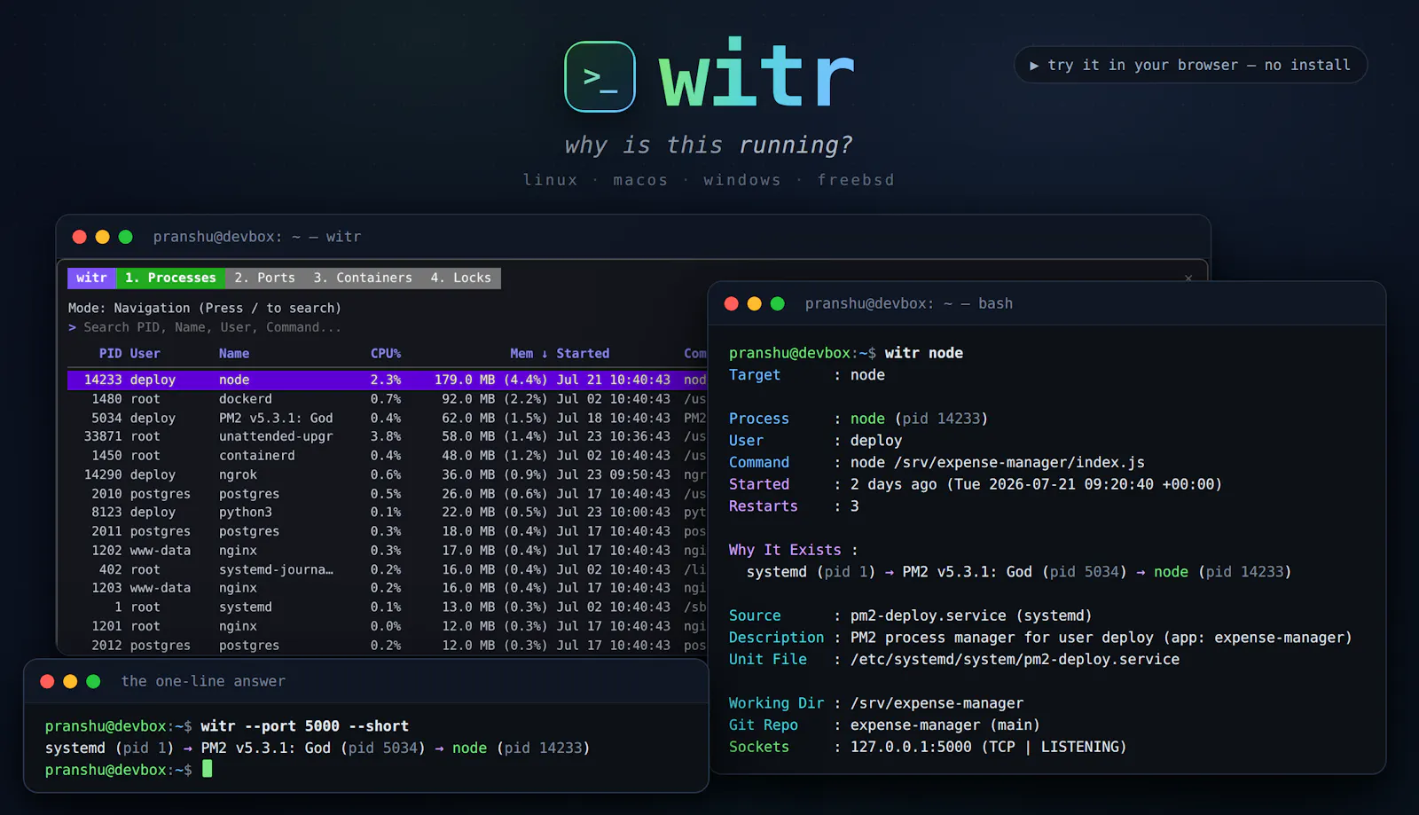 witr screenshot 3