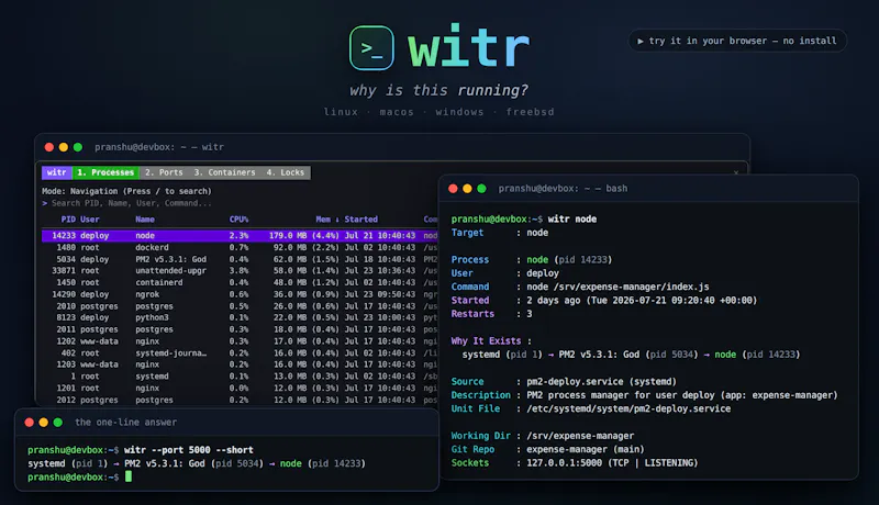 witr screenshot 3