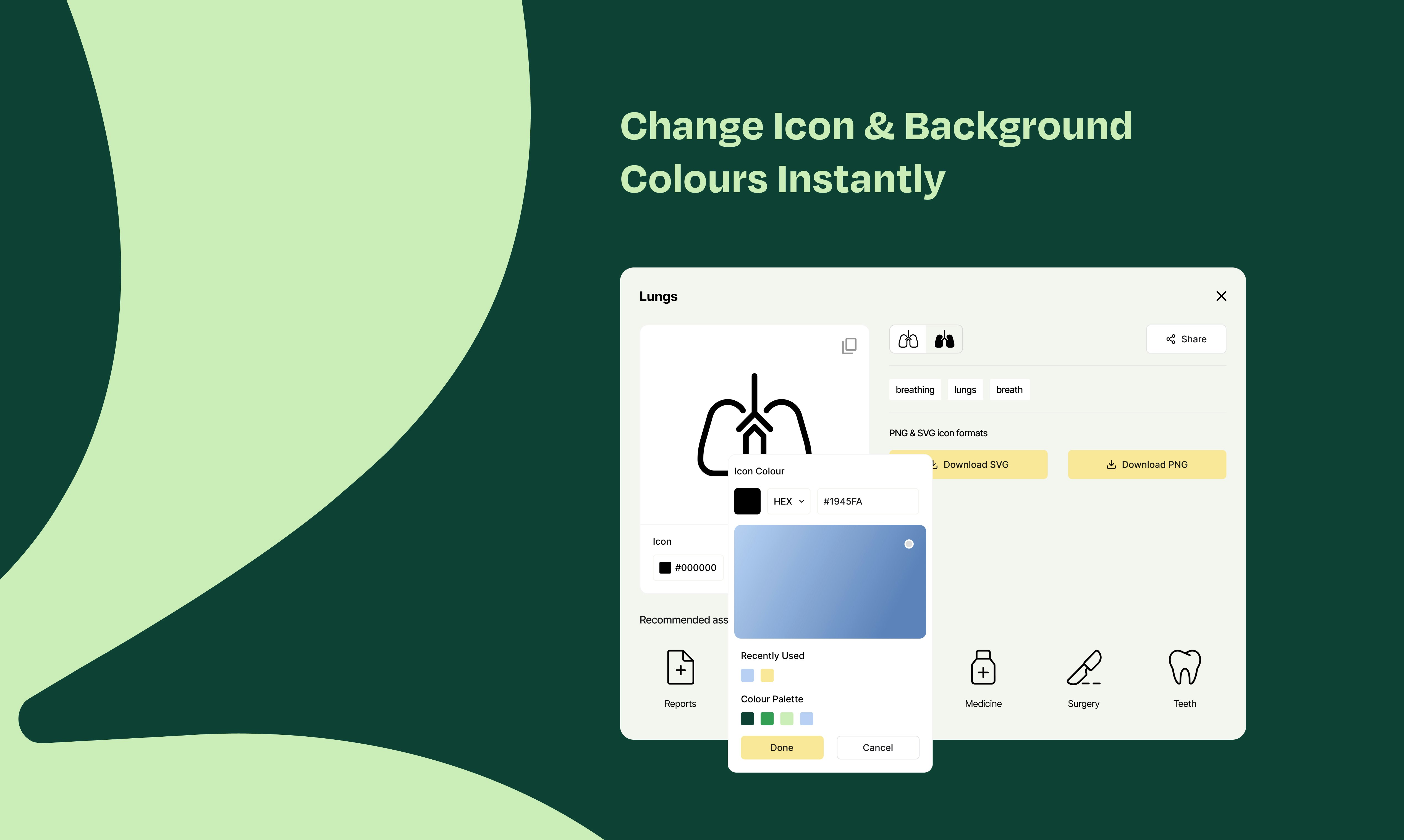 Kimko Stocks gallery image