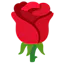 Rose Gift