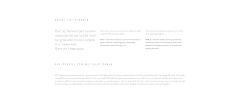 Tulip Mania Project gallery image