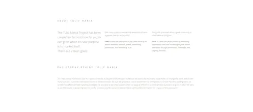 Tulip Mania Project gallery image