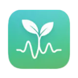 Pomodoro Timer for Mental Focus